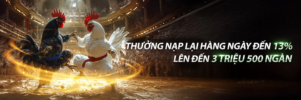Hình ảnh sân vận động với ánh đèn rực rỡ, biểu tượng cho cá cược thể thao tại BK8 link mới