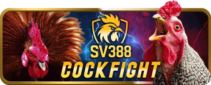 Liên hệ Hỗ trợ BK8